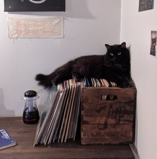 $STELLA